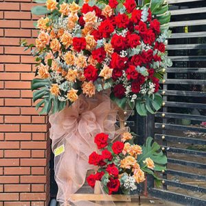 Hoa Khai Trương Đỏ Mix Cam Đất 49